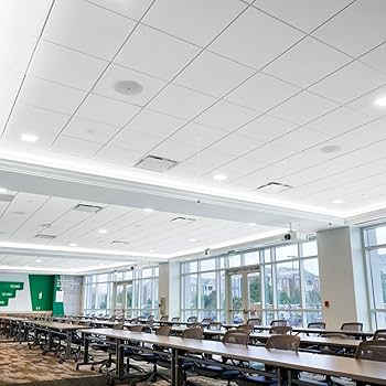 ▼ toLA✯24 Kraken Lapatto Porcelain Wall and Floor Tile - 12 x 24 in